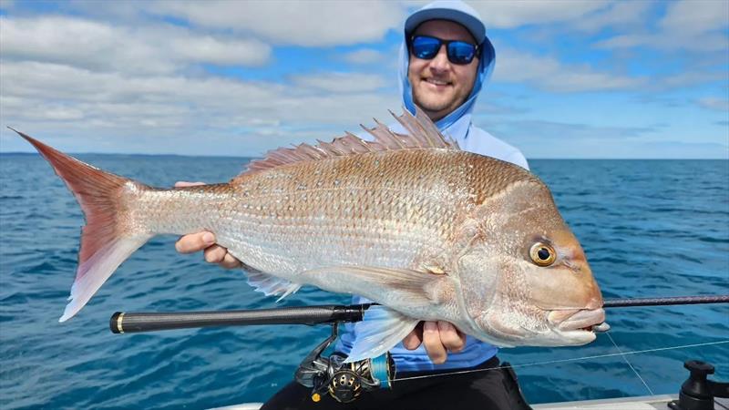 You can still catch snapper in the bay, and this new moon will have them on the chew - photo © Fisho's Tackle World Hervey Bay