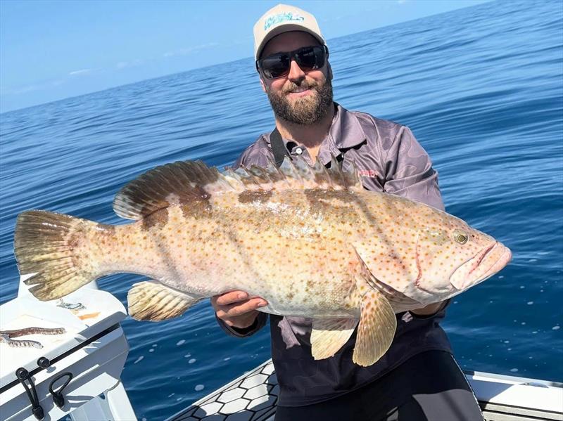 Large estuary cod abound in the waters of the bay and beyond - photo © Fisho's Tackle World Hervey Bay