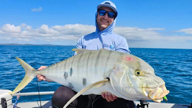 Jacko hovered over a school of goldies close inshore and tempted them on Daiwa Baitjunkie soft plastics - photo © Fisho's Tackle World Hervey Bay