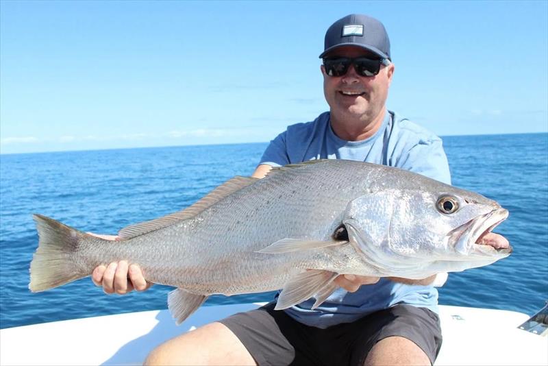 Jewfish can be either a target species or cool bycatch. This one came from a recent Saltwater Playground Charter - photo © Fisho's Tackle World Hervey Bay
