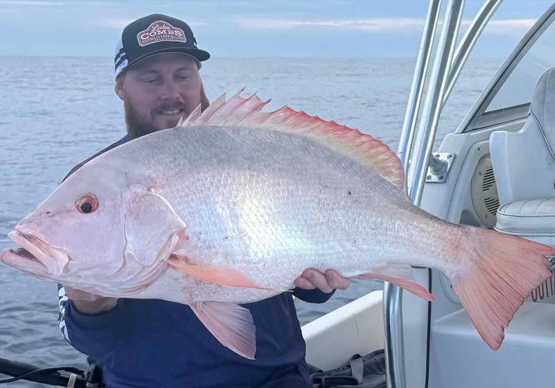 Big nannies look so cool fresh from the water. Make the effort to take a good shot of fish of this calibre for lasting memories photo copyright Fisho's Tackle World Hervey Bay taken at  and featuring the Fishing boat class