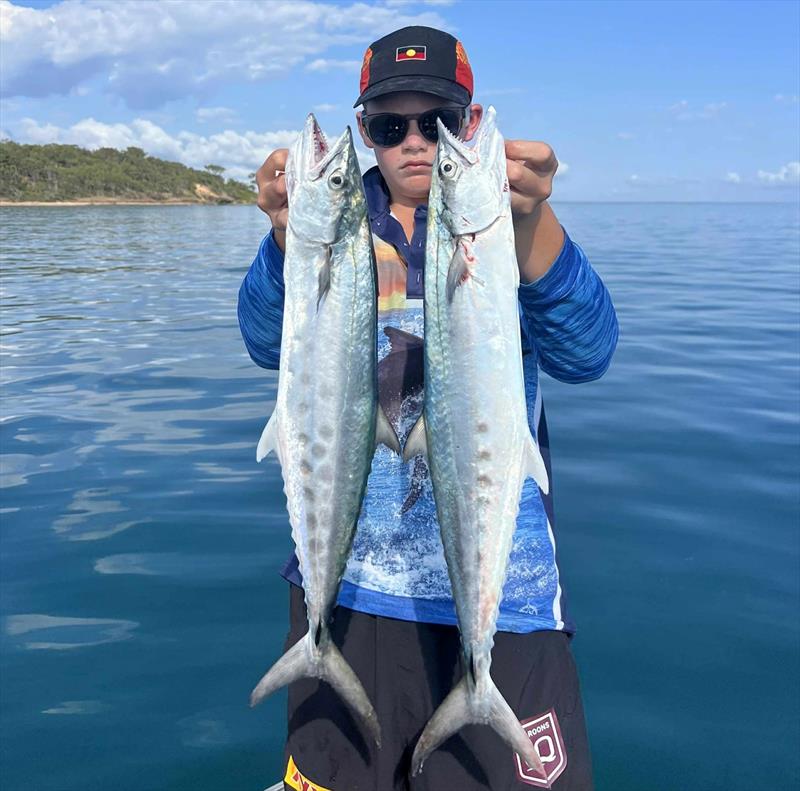 School mackerel are in plague proportions in the southern bay. Take the kids out and get them amongst these speedsters and they will have a ball photo copyright Fisho's Tackle World Hervey Bay taken at  and featuring the Fishing boat class
