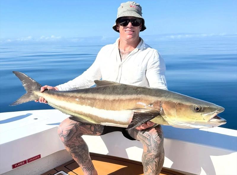 Saltwater Playground Charters continue to catch cobia regularly, and will do so for some time to come photo copyright Fisho's Tackle World Hervey Bay taken at  and featuring the Fishing boat class