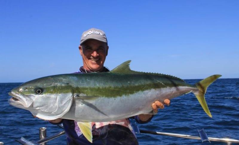 VRFish releases Kingfish Survey results photo copyright VRFish taken at VRFish and featuring the Fishing boat class