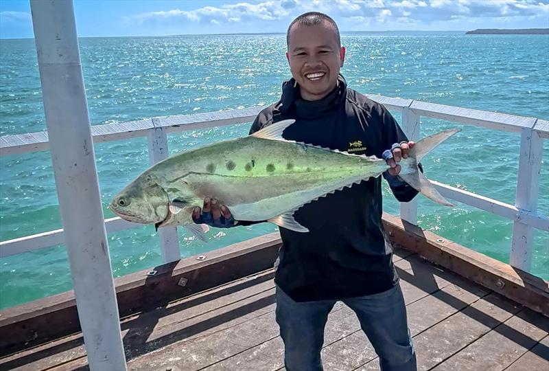 Matthew was excited to catch this 94cm queenie from Urangan Pier last week photo copyright Fisho's Tackle World Hervey Bay taken at  and featuring the Fishing boat class