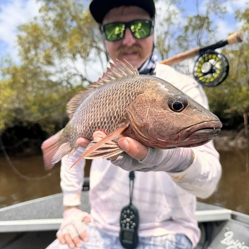 Josh Downing put a solid curve in the fly rod on this little jack. Expect a great bite from the jacks again this weekend - photo © Fisho's Tackle World Hervey Bay
