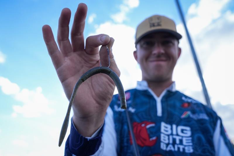 Drew Gill - 2025 Toyota Series Championship Presented by Phoenix Boats photo copyright Rob Matsuura / Major League Fishing taken at  and featuring the Fishing boat class