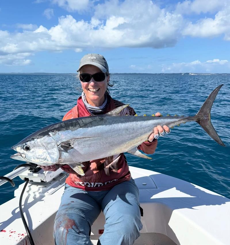 There are a few longtails mixed in with the hordes of mac tuna in the bay. This one fell victim to a Saltwater Playground Charter client - photo © Fisho's Tackle World Hervey Bay 