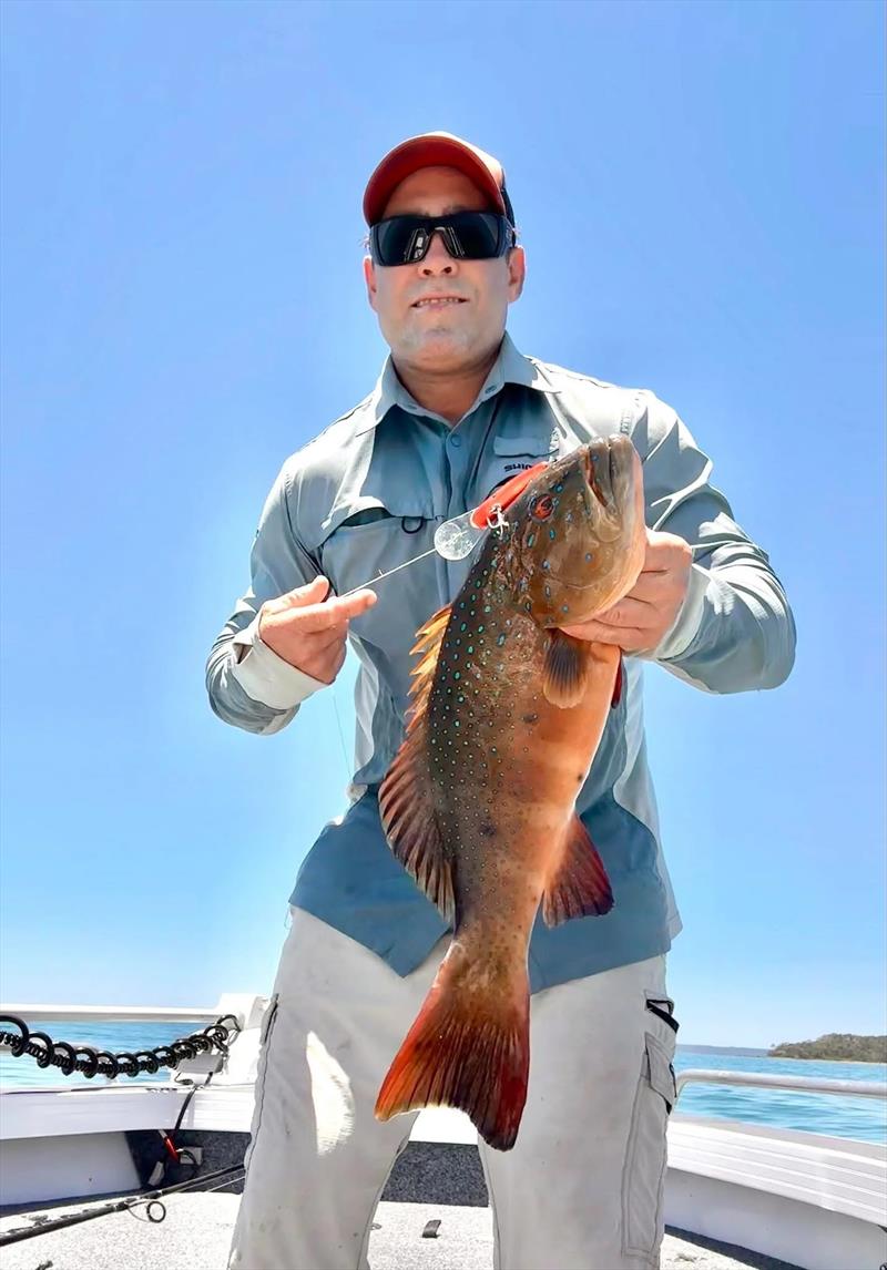 The only time you will see this bloke NOT trolling is when he stops to land his latest trout. Another nice fish for dinner at Luke's place - photo © Fisho's Tackle World Hervey Bay 