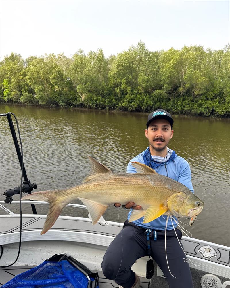 Dane used a Zerek Fish Trap to snare this fine thready from the Burrum system - photo © Fisho's Tackle World Hervey Bay