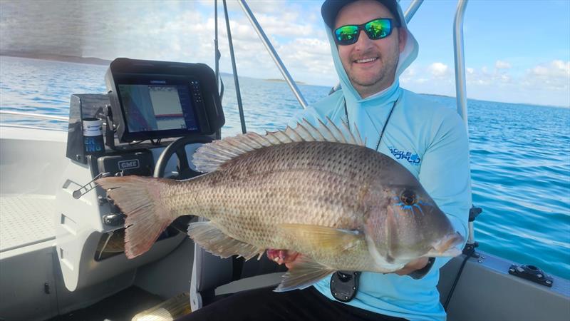 Jacko suffered the attention of a few sharks, but still came home with a good feed of quality inshore sweeties - photo © Fisho's Tackle World Hervey Bay