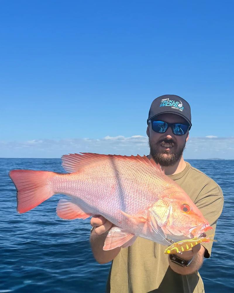 Fisho's staffer, Kealan, fooled this tasty little nanny into taking his soft vibe photo copyright Fisho's Tackle World Hervey Bay taken at  and featuring the Fishing boat class