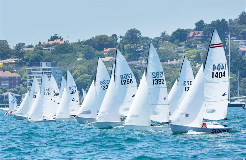 The Flying 11 fleet out on Double Bay on day 1 of Sail Sydney 2015 photo copyright Robin Evans taken at Woollahra Sailing Club and featuring the Flying 11 class