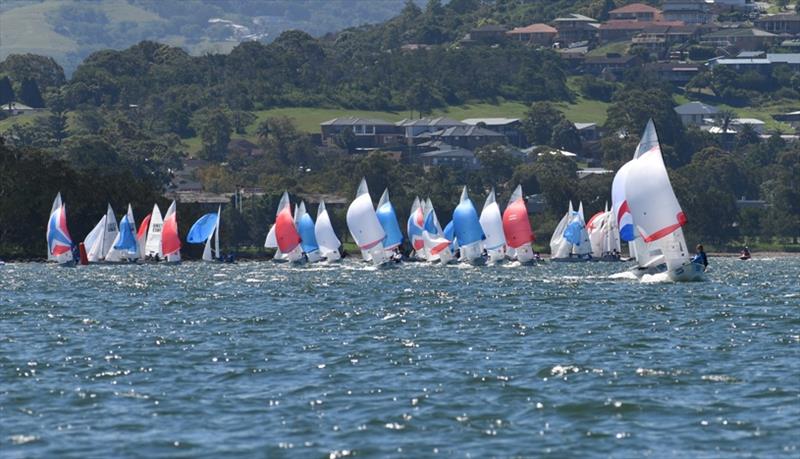 Fleet shot - Allen NSW Flying 11 Championships 2021 photo copyright Mel Yeomans at Deck Hardware / Australian Flying 11 Association taken at Port Kembla Sailing Club and featuring the Flying 11 class