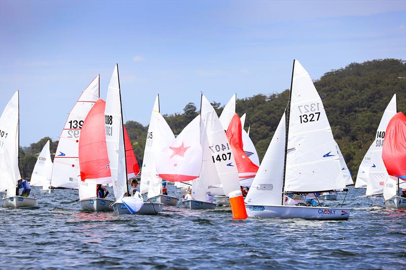 2022 Allen Flying 11 Australian Championships photo copyright Mark Rothfield taken at Gosford Sailing Club and featuring the Flying 11 class