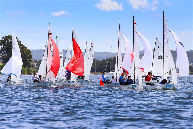 2022 Allen Flying 11 Australian Championships - photo © Mark Rothfield