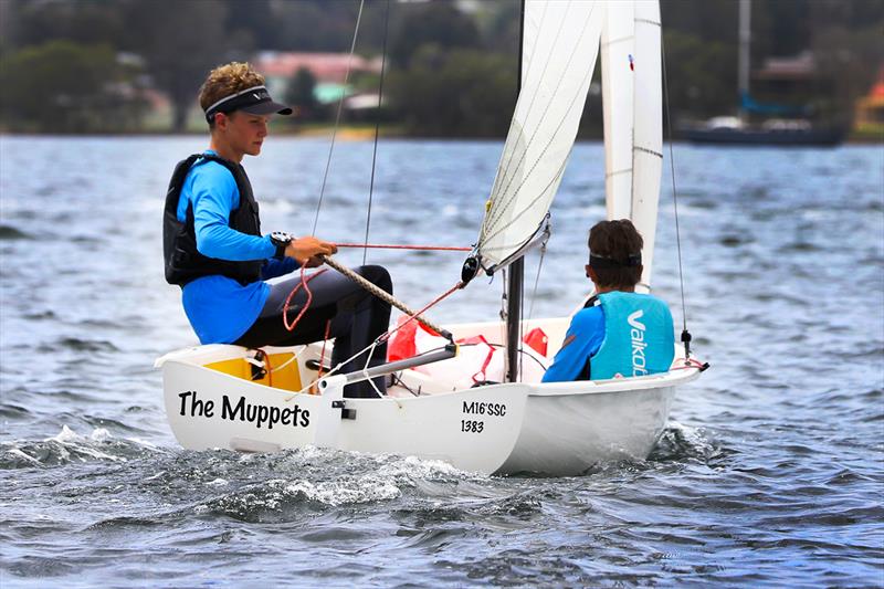 2022 Allen Flying 11 Australian Championships photo copyright Mark Rothfield taken at Gosford Sailing Club and featuring the Flying 11 class