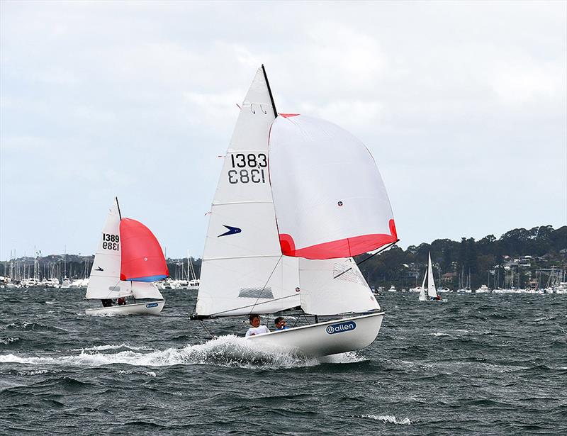 Sam Stodart and Ash Napper at the 2021 NSW Flying 11 titles at Pittwater, NSW photo copyright Hugh Stodart taken at  and featuring the Flying 11 class