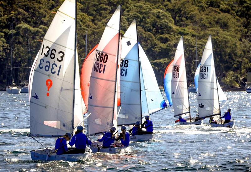 Flying11 - Manly photo copyright Sail Media taken at Manly 16ft Skiff Sailing Club and featuring the Flying 11 class