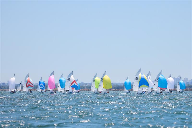 2025 Allen Flying 11 Nationals photo copyright Mark Bramley / www.markbramley.com taken at St George Sailing Club and featuring the Flying 11 class