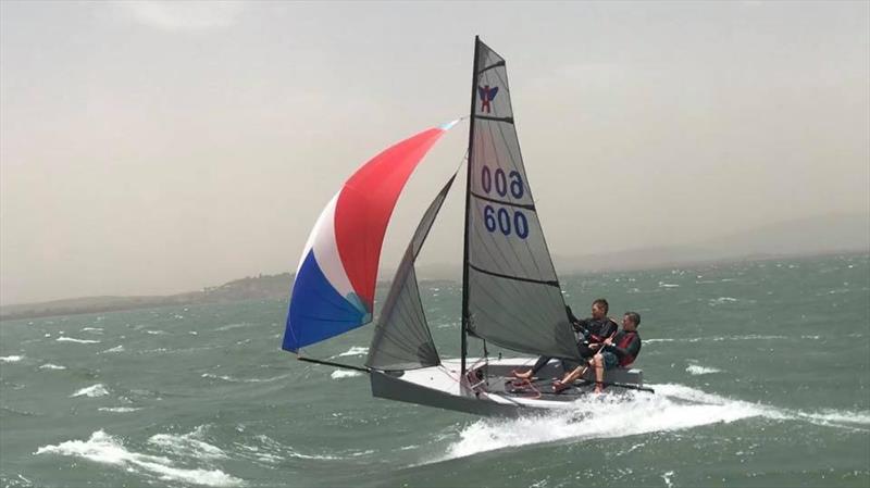 The Flying Ant has been re-launched in New Zealand as a one design sail away class - photo © Adam Beashel