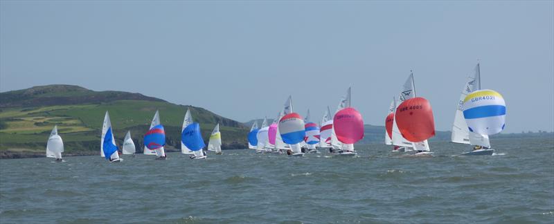 Flying Fifteen Scottish Championship photo copyright Becky Davison taken at Solway Yacht Club and featuring the Flying Fifteen class