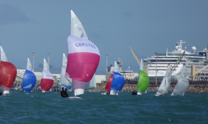 Flying Fifteen NZ Championship in Napier - photo © Jonny Fullerton