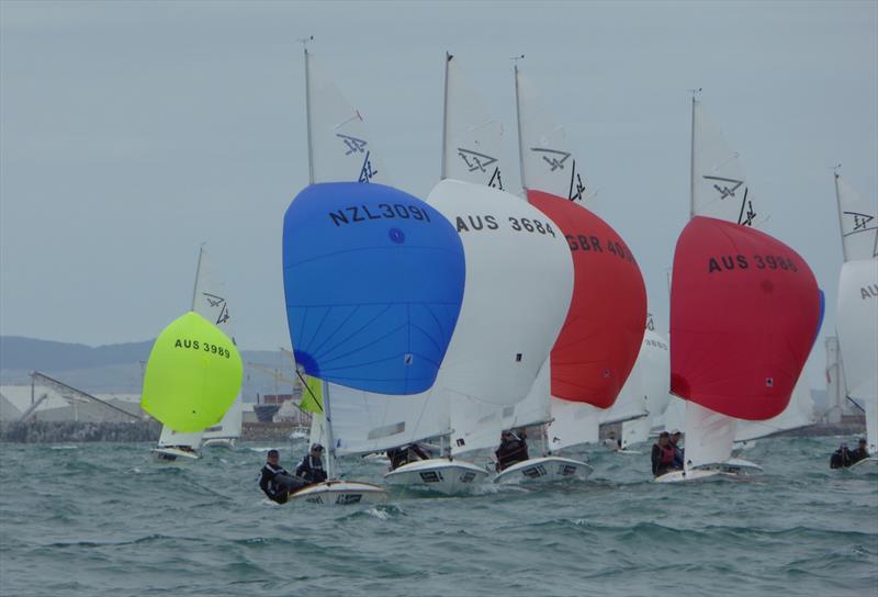 Flying Fifteen Worlds at Napier day 1 - photo © Jonny Fullerton
