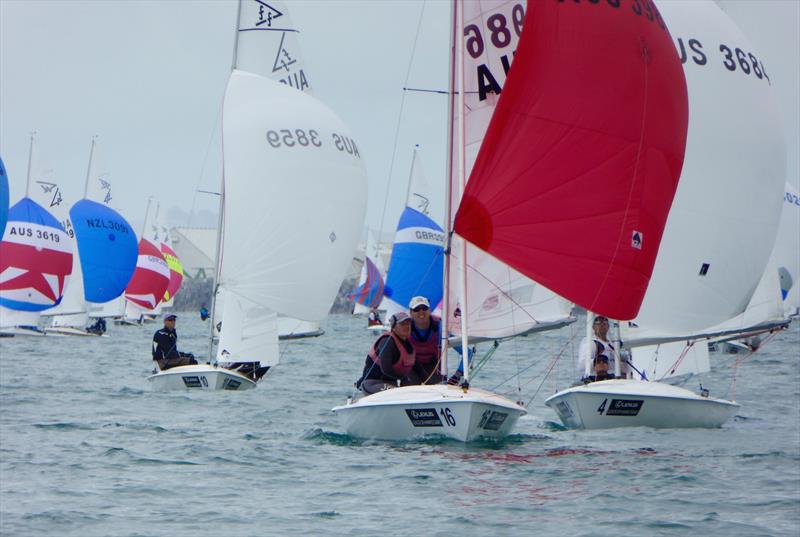 Nick & Janet Jerwood on day 2 of the Flying Fifteen Worlds at Napier photo copyright Jonny Fullerton taken at Napier Sailing Club and featuring the Flying Fifteen class