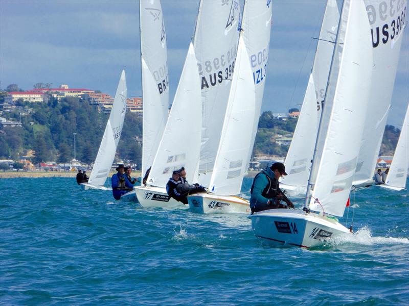 Fleet round the top mark on day 3 of the Flying Fifteen Worlds at Napier photo copyright Jonny Fullerton taken at Napier Sailing Club and featuring the Flying Fifteen class