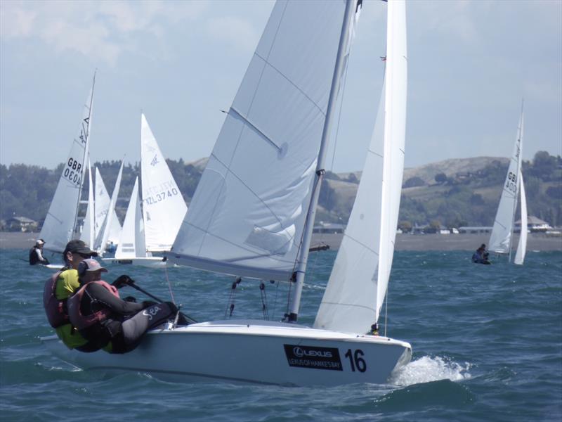 Nick and Janet Jerwood on day 4 of the Flying Fifteen Worlds at Napier - photo © Jonny Fullerton