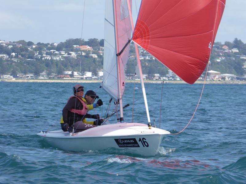Nick and Janet Jerwood on day 5 of the Flying Fifteen Worlds at Napier photo copyright Jonny Fullerton taken at Napier Sailing Club and featuring the Flying Fifteen class