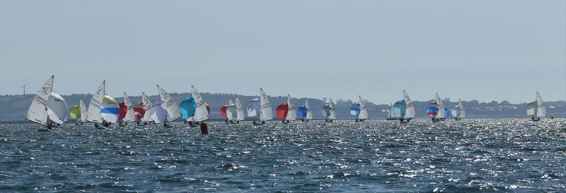 Flying Fifteen British Championship 2018 at Strangford Lough photo copyright Simon McIlwaine / www.wavelengthimage.com taken at Strangford Lough Yacht Club and featuring the Flying Fifteen class