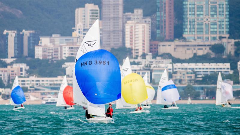 Hong Kong Flying Fifteen Class Championship 2020 photo copyright Panda Man / Takumi Images taken at Royal Hong Kong Yacht Club and featuring the Flying Fifteen class