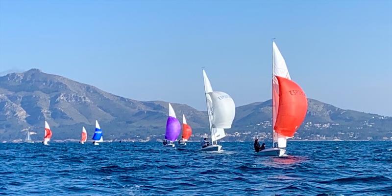 Flying Fifteen Balearic Championship 2021 photo copyright Hamish Goddard taken at  and featuring the Flying Fifteen class