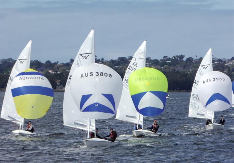 Hamish Carnachan Peter Mudford lead fleet at Flying Fifteen Tally Hobbs Regatta 2018 photo copyright Jonny Fullerton taken at Royal Freshwater Bay Yacht Club and featuring the Flying Fifteen class