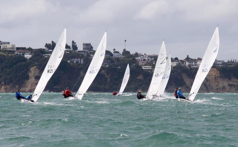 2019 Flying Fifteen New Zealand National Championships photo copyright Chris Fields taken at Royal Akarana Yacht Club and featuring the Flying Fifteen class