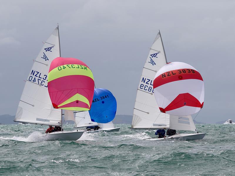 2019 Flying Fifteen New Zealand National Championships photo copyright Chris Fields taken at Royal Akarana Yacht Club and featuring the Flying Fifteen class