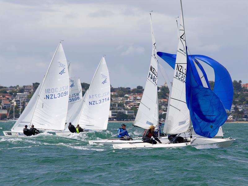 2019 Flying Fifteen New Zealand National Championships photo copyright Chris Fields taken at Royal Akarana Yacht Club and featuring the Flying Fifteen class