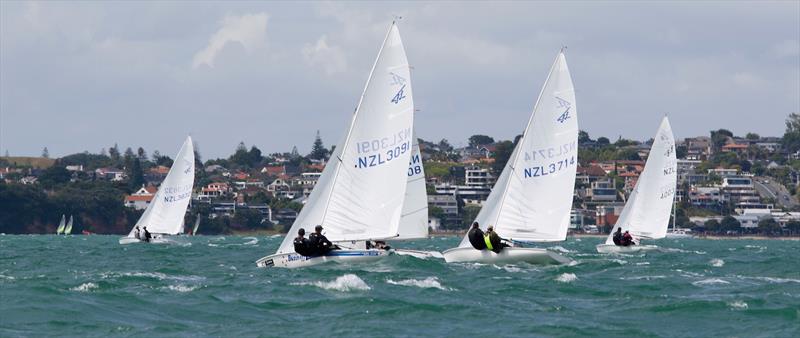 2019 Flying Fifteen NZ Nationals - Royal Akarana Yacht Club, February 2019 photo copyright Chris Field taken at Royal Akarana Yacht Club and featuring the Flying Fifteen class