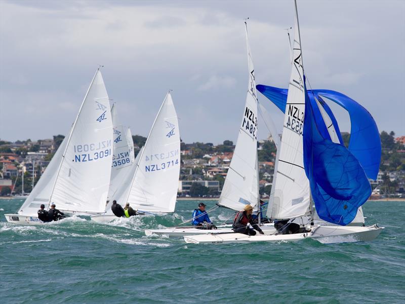 2019 Flying Fifteen NZ Nationals - Royal Akarana Yacht Club, February 2019 photo copyright Chris Field taken at Royal Akarana Yacht Club and featuring the Flying Fifteen class