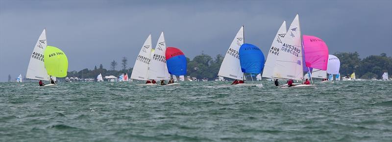 F15s at Flying Fifteen Australian Championship 2020 photo copyright Royal Queensland Yacht Squadron taken at Royal Queensland Yacht Squadron and featuring the Flying Fifteen class