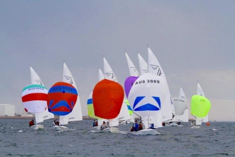 Fleet downwind Geraldton - Western Australian State Flying Fifteen Championship 2021 photo copyright Desmond Hill taken at Geraldton Yacht Club and featuring the Flying Fifteen class