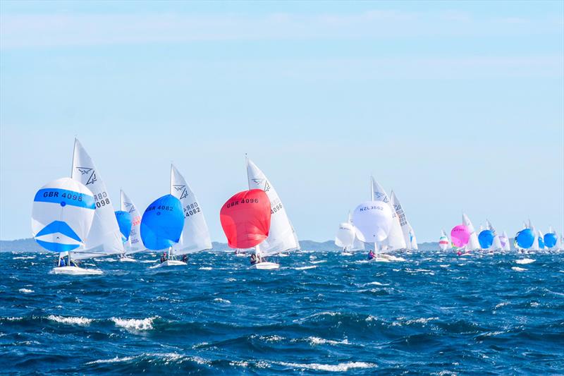 Flying 15 Australian Championship & Worlds Invitational Race 2023 photo copyright Lisa Smith taken at Royal Freshwater Bay Yacht Club and featuring the Flying Fifteen class