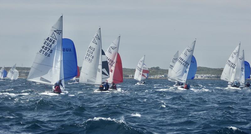 Flying 15 Australian Championship Day 1 photo copyright Regatta Services taken at Royal Freshwater Bay Yacht Club and featuring the Flying Fifteen class