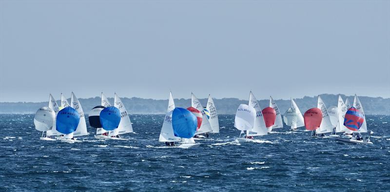 Flying 15 Australian Championship Day 2 - photo © Lyndsay Preece