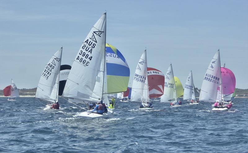 Flying 15 Australian Championship Day 2 photo copyright Regatta Services taken at Royal Freshwater Bay Yacht Club and featuring the Flying Fifteen class