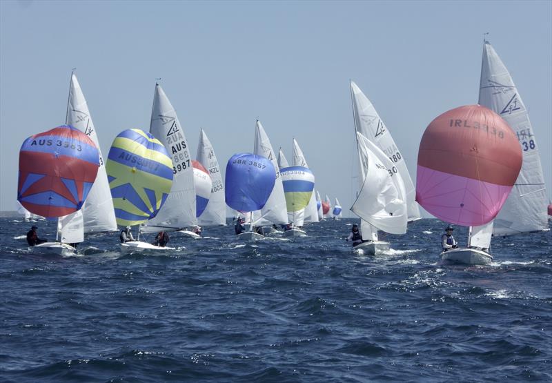 Flying 15 Australian Championship Day 3 photo copyright Regatta Services taken at Royal Freshwater Bay Yacht Club and featuring the Flying Fifteen class