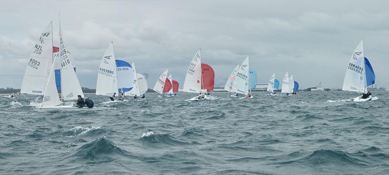 Fleet downwind - Flying 15 Australian Championship 2023 - photo © Regatta Services