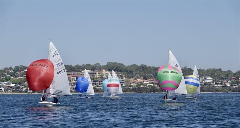 David Yu and Chris Nelson - Tally Hobbs Regatta 2024 photo copyright George Vaskovics / RFBYC taken at Royal Freshwater Bay Yacht Club and featuring the Flying Fifteen class